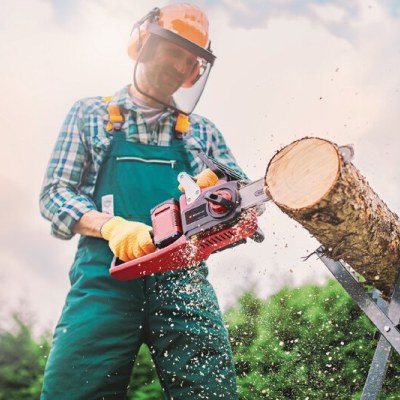 Einhell Akülü Ağaç Kesme Testeresi GP-LC 36/35 Li-Solo